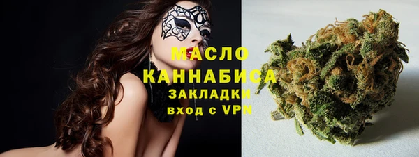скорость Каменка