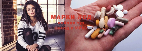 скорость Каменка