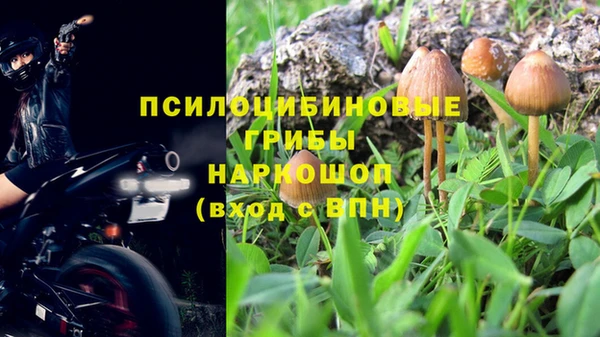 мяу мяу мука Каменногорск
