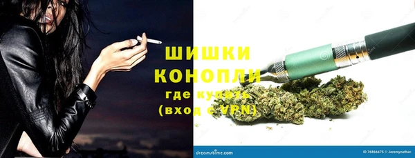 скорость Каменка
