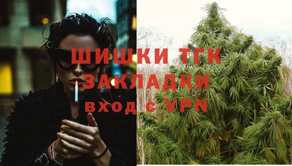 мяу мяу мука Каменногорск