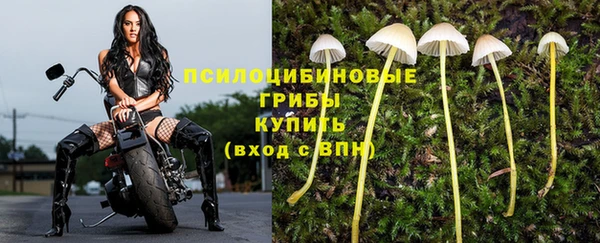 метамфетамин Каменск-Шахтинский