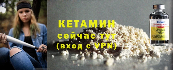 скорость Каменка