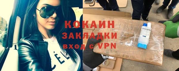скорость Каменка